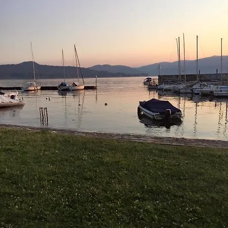 Dei Gelsomini